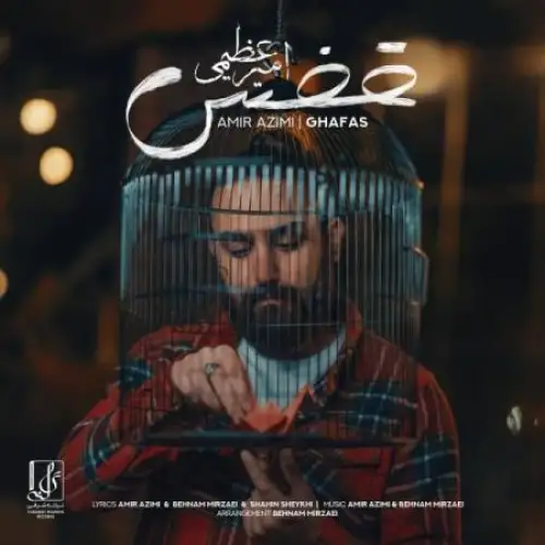 قفس